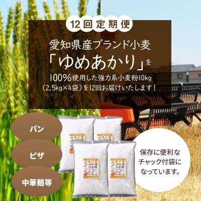 【小麦粉】愛知県産 ゆめあかり 国産 パン用強力粉 2.5kg×4袋 定期便12回 H008-266