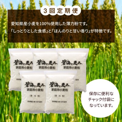 【小麦粉】碧海の恵み 薄力粉 国産 愛知県産 800g×5袋(計4kg) 定期便3回H008-263