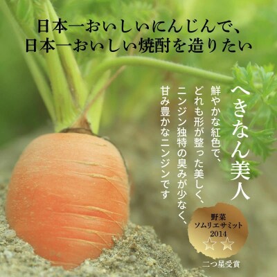 にんじん焼酎　紅　500ml×1本 へきなん美人使用　H009-023