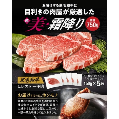 【肉とフライパンが届く】おもいのフライパン26cm《頂》&黒毛和牛ヒレステーキ5枚 H051-129