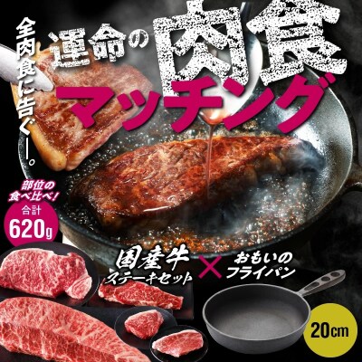 【肉とフライパンが届く】おもいのフライパン20cm &amp;国産牛食べ比べステーキセット H051-144