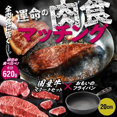 【肉とフライパンが届く】おもいのフライパン20cm &国産牛食べ比べステーキセット H051-144