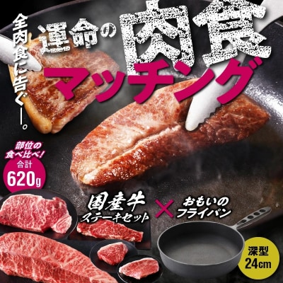 【肉とフライパンが届く】おもいのフライパン24cm &amp;国産食べ比べステーキセット H051-146