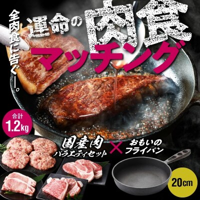 【肉とフライパンが届く】おもいのフライパン20cm&国産肉バラエティセット H051-145