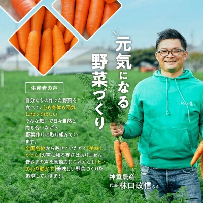 (TVで紹介)こどもも食べられる甘み!ジュースにも!「マドンナキャロット」 3kg H105-186