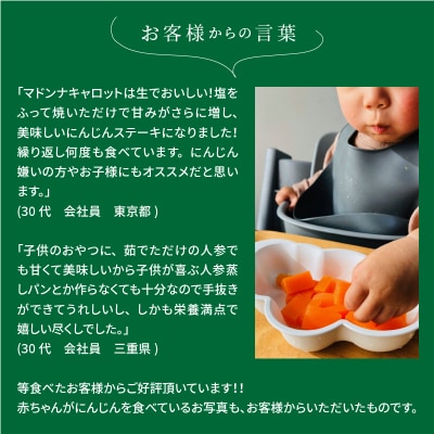(TVで紹介)こどもも食べられる甘み!ジュースにも!「マドンナキャロット」 3kg H105-122
