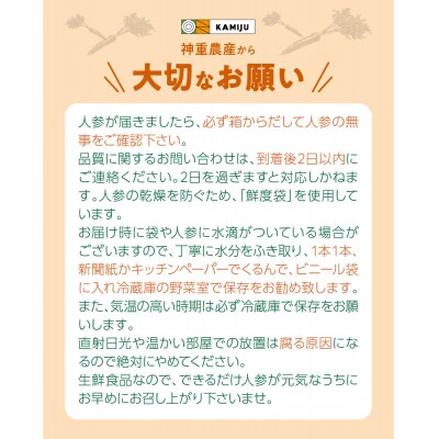 (TVで紹介)こどもも食べられる甘み!ジュースにも!「マドンナキャロット」 3kg H105-186