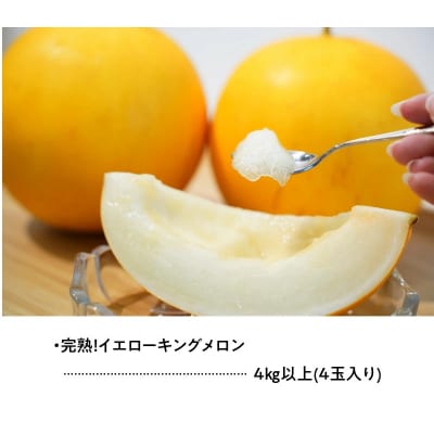 【2025年発送】完熟!イエローキングメロン 4kg以上(4玉入り)　H141-018