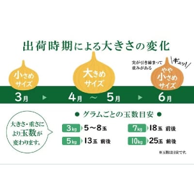 【訳あり】初夏の新玉ねぎ「旬玉」プレミアム7kg 5月発送 H105-097
