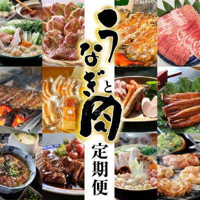 【全12回】厳選!うなぎとお肉の定期便(毎月お届け) H028-054