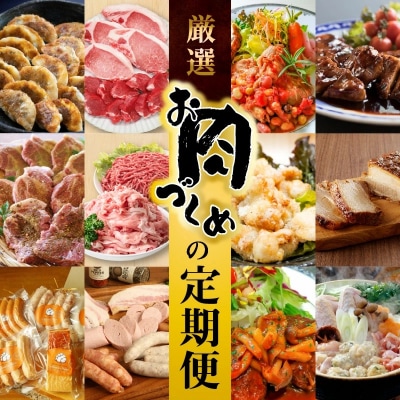 【全12回】厳選!お肉づくめの定期便 H028-059