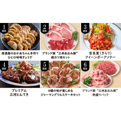 【全12回】厳選!お肉づくめの定期便　H028-059