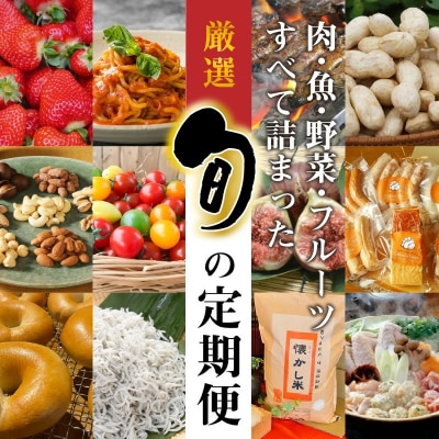 厳選!肉・魚・野菜・フルーツすべて詰まった旬の定期便(全12回お届け)　H028-056