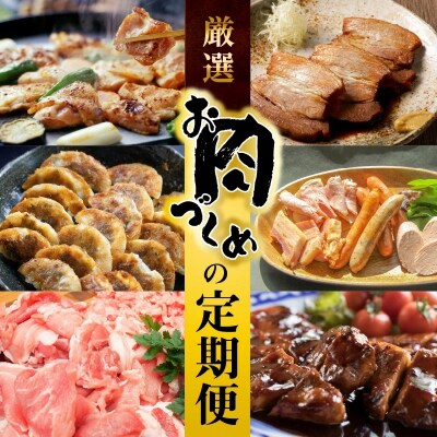 【全6回】厳選!お肉づくめの定期便　H028-080