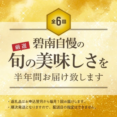【全6回】厳選!お肉づくめの定期便　H028-080