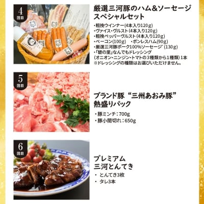 【全6回】厳選!お肉づくめの定期便　H028-080