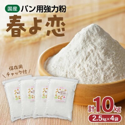 【小麦粉】国産 &ldquo;春よ恋&rdquo; パン用 強力粉 2.5kg&times;4袋(計10kg) H008-208