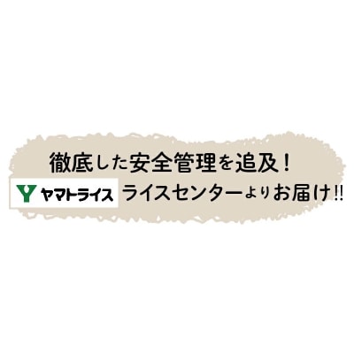 【12回定期　玄米パックご飯】北海道産ゆめぴりか 150g×24個 やわらかい玄米　H074-655