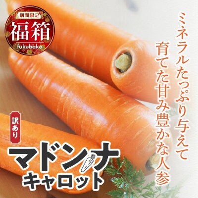 【福箱★2024】訳ありマドンナキャロット8kg 子どもも食べれる甘み　H105-079 | ふるさと納税のお礼品