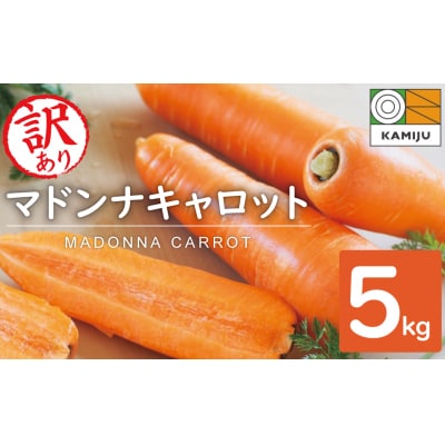 (TVで紹介)【訳あり】こどもも食べられる甘み!「マドンナキャロット」 5kg H105-199
