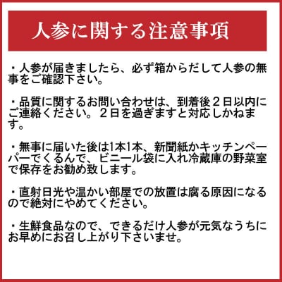 (TVで紹介)【訳あり】こどもも食べられる甘み!「マドンナキャロット」 5kg H105-145