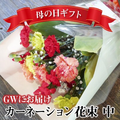 【2025年 母の日】ビタミンカラーのカーネーション花束(サイズ中)生花　 H092-054