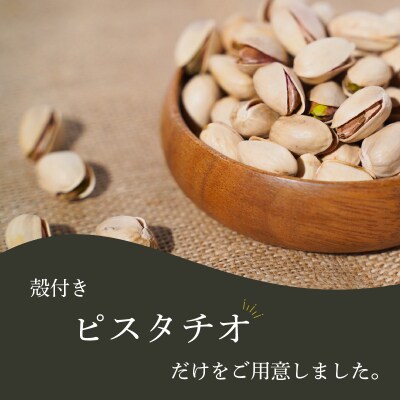 個包装タイプ【直火式】殻付き うす塩ピスタチオ 750g(25g×30袋)　H059-195