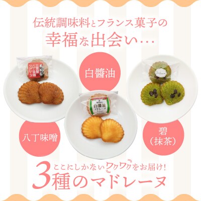 三英傑セット～(白醤油・抹茶・八丁味噌)味比べセット12個入りH043-016