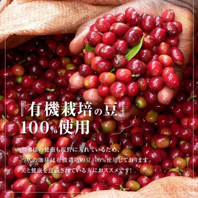 【福箱★2024】12月発送 ドリップコーヒーホット100袋 (1袋10g)H046-022_Dec