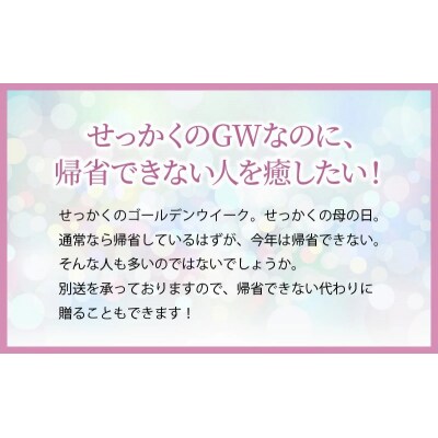 【2025年 母の日】カーネーション アレンジメント　花瓶不要なので贈りやすい♪　H092-046