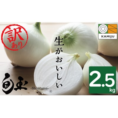 【2026年発送】訳あり 生がおいしい 神重農産のブランド玉ねぎ「旬玉」2.5kg　H105-152