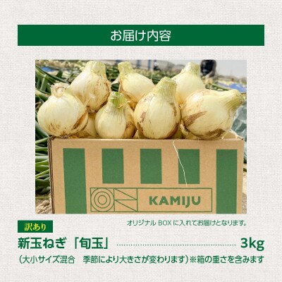【訳あり】 新玉ねぎ　生がおいしい 神重農産のブランド玉ねぎ「旬玉」2.5kg　H105-152