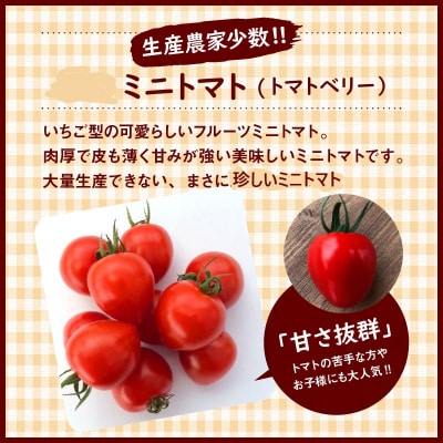 1月～6月毎月発送 　ミニトマト トマトベリーの定期便 約700g×6回コース　H004-169