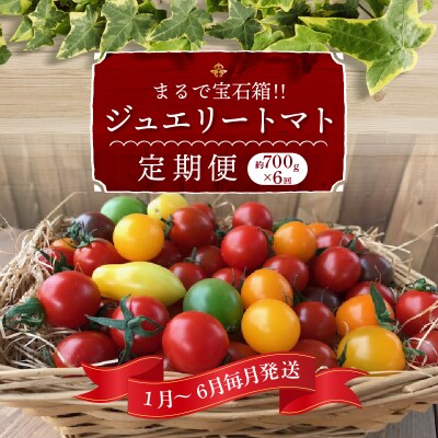 1月～6月毎月発送 まるでトマトの宝石箱!ジュエリートマトの定期便 6回コース H004-210