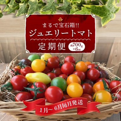 1月～6月毎月発送 まるでトマトの宝石箱!ジュエリートマトの定期便 6回コース H004-210