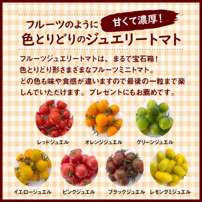 1月～6月毎月発送 まるでトマトの宝石箱!ジュエリートマトの定期便 6回コース H004-210