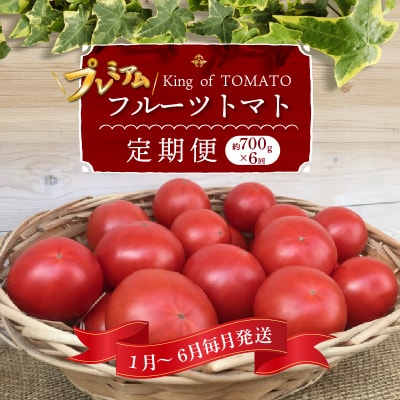 1月～6月毎月発送 プレミアムフルーツトマトの定期便6回コース H004-211