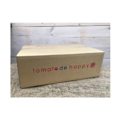 1月～6月毎月発送 プレミアムフルーツトマトの定期便6回コース H004-211