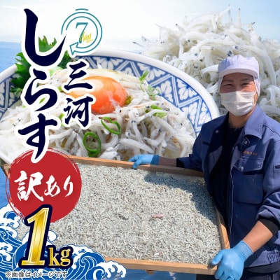 訳あり 小モリ1kg!バラエティ豊富な三河しらす H018-046