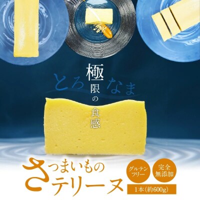 【テリーヌ専門店L】(約600g)さつまいものテリーヌ【グルテンフリー・完全無添加】H173-003