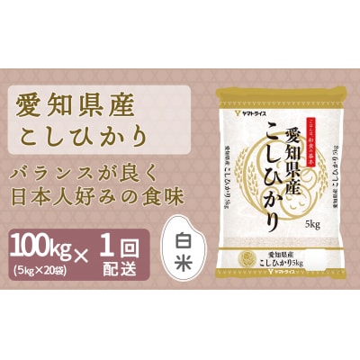 【精米】愛知県産コシヒカリ 100kg(5kg×20袋) 　H074-689