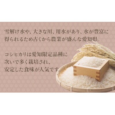 【精米】愛知県産コシヒカリ 100kg(5kg×20袋) 　H074-689