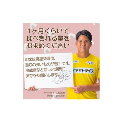 【精米】愛知県産コシヒカリ 100kg(5kg×20袋) 　H074-689