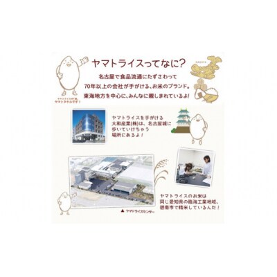 【精米】愛知県産コシヒカリ 100kg(5kg×20袋) 　H074-689
