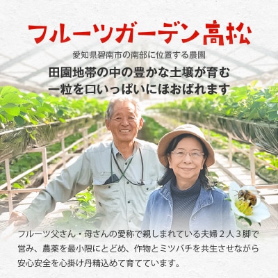 【1レーン貸切・最大60分食べ放題(土日祝・繁忙期は45分)】いちご狩り券1名様 H175-006