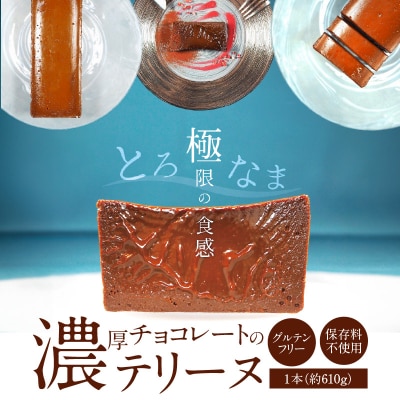 【テリーヌ専門店L】濃厚チョコレートのテリーヌ【グルテンフリー・保存料不使用】 H173-008