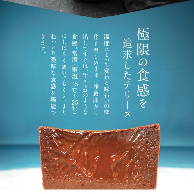 濃厚チョコレートのテリーヌ(約600g)【グルテンフリー・保存料不使用】 H173-008