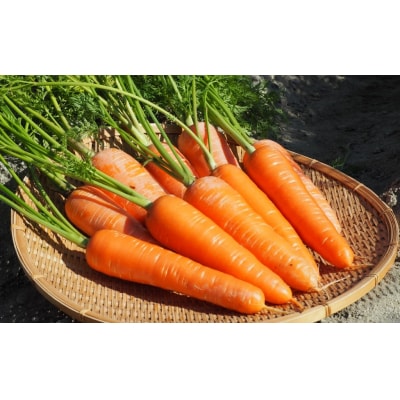 【訳あり】甘くて食べやすい“碧南にんじん” 5kg にんじん 野菜　H105-139