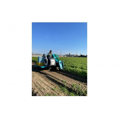 【訳あり】甘くて食べやすい“碧南にんじん” 5kg にんじん 野菜　H105-139