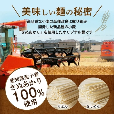 愛知県産小麦100%「碧海の恵み」うどん&きしめん 250g×8袋 乾麺 冬用ギフトH008-243